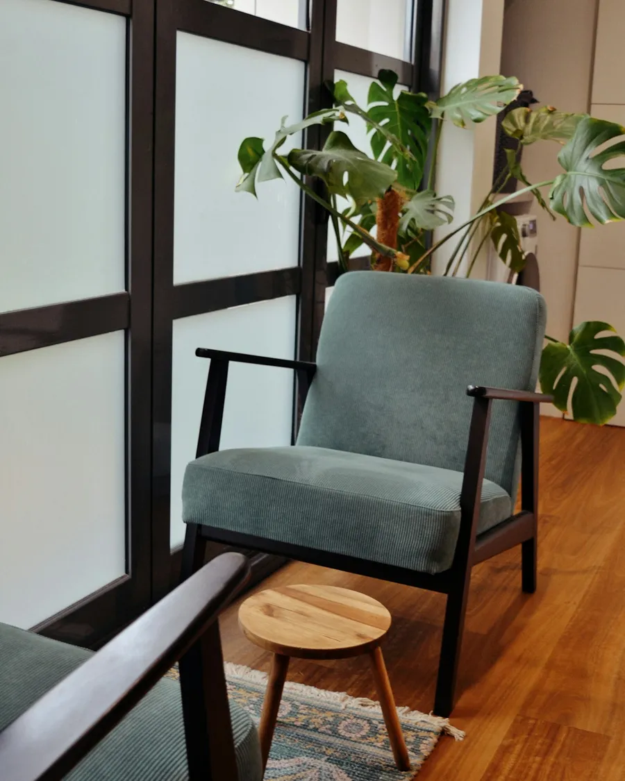 Poltrona verde e planta num consultório com luz natural